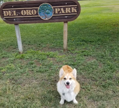 Oak Hill Dog Park photo 2